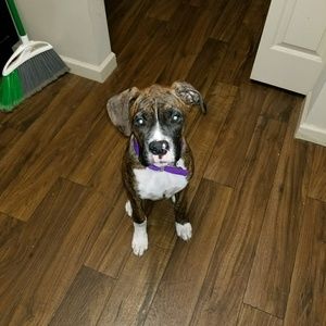 Meet your Posher, Christopher